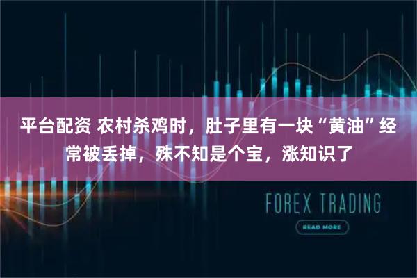 平台配资 农村杀鸡时，肚子里有一块“黄油”经常被丢掉，殊不知是个宝，涨知识了